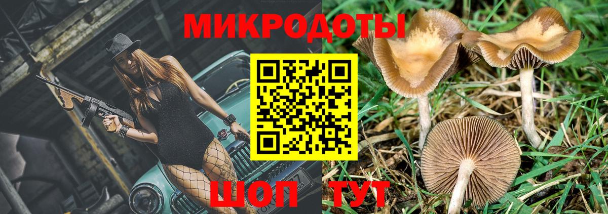 Псилоцибиновые грибы Magic Shrooms  где купить наркоту  Галлюциногенные грибы Psilocybine cubensis  Ростов Великий  Вход с VPN 